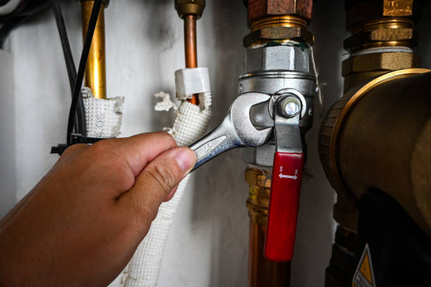 Best Clogged Drain Plumber  in Kelseyville, CA